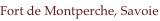 shapeimage_5_link_3